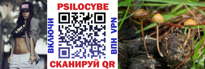 blacksprut онион Козьмодемьянск Галлюциногенные грибы прущие грибы